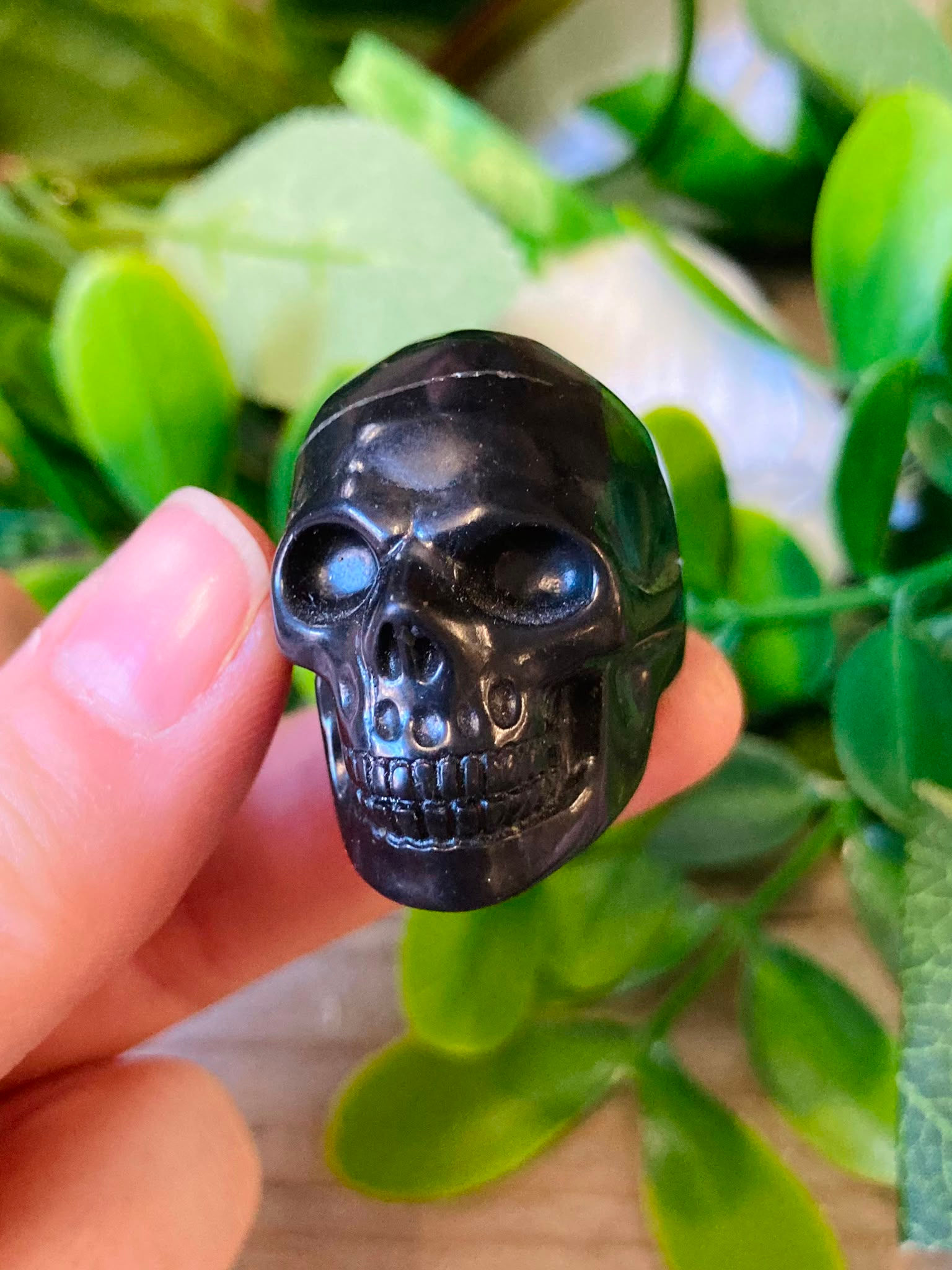 Shungite Skull