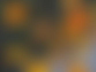 The Evolution of Intent