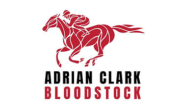 AC LOGO (897 x 607 px).jpg
