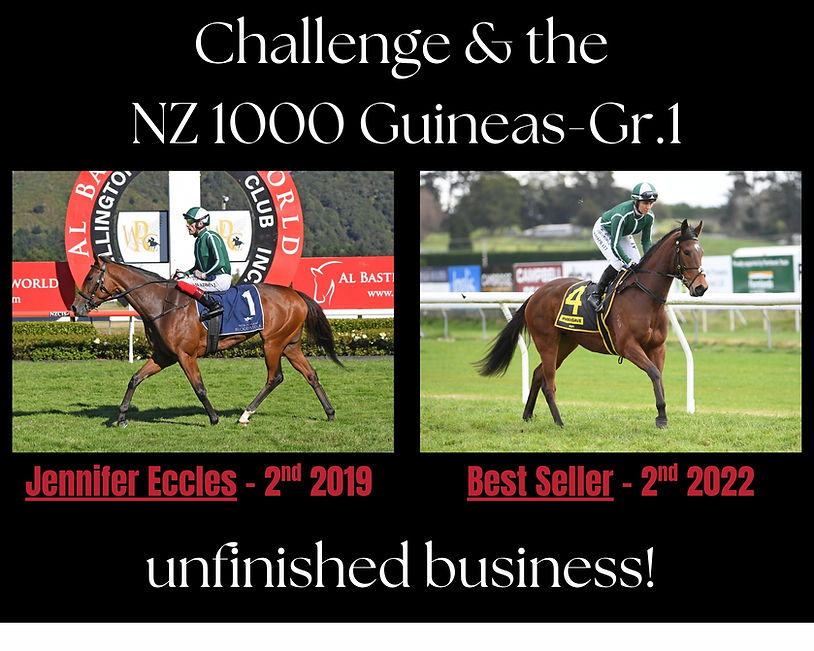 Challenge & the 1000 Guineas.jpg