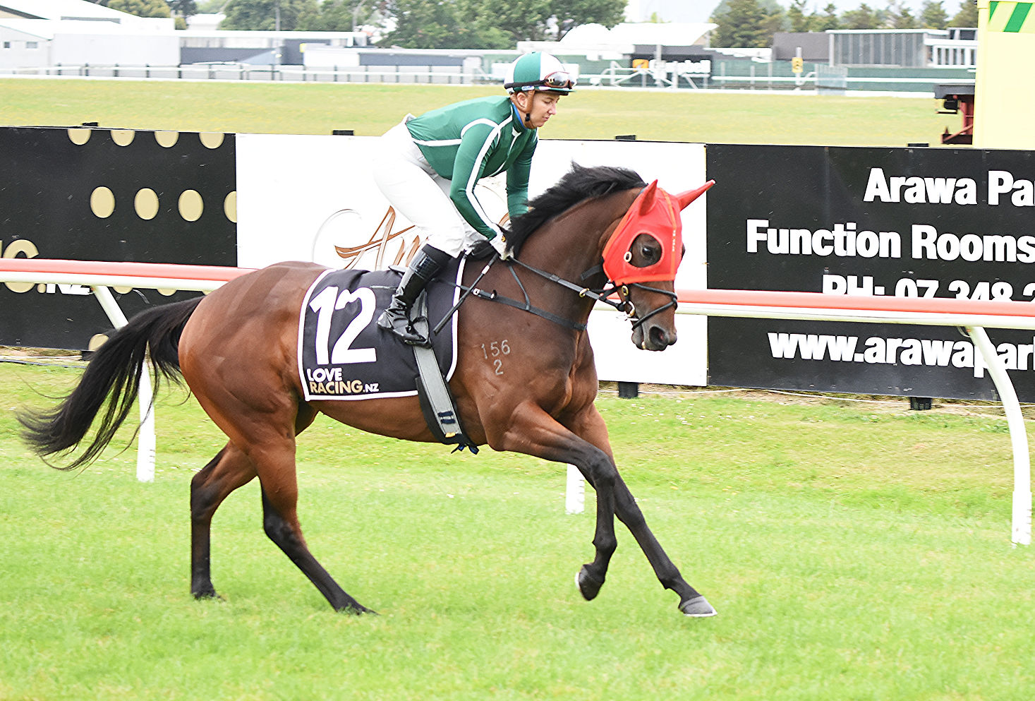 CS. Debut preliminary. 27.12.25.jpg