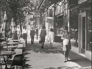 City Dreamers: The Urban Imagination in Australia: Graeme Davison: Book Review