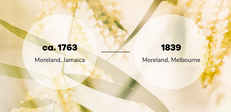 City of Merri-Bek: Renaming