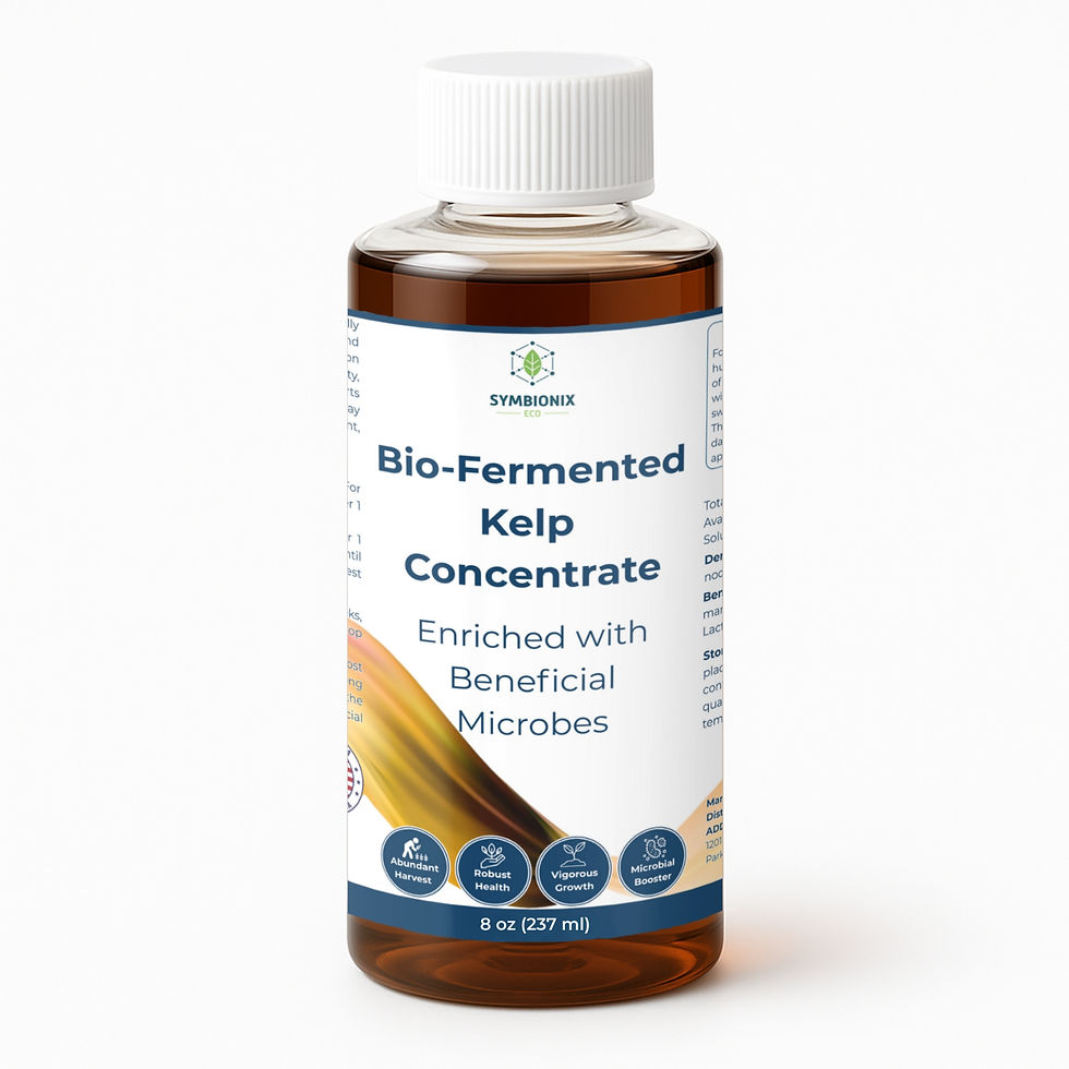 Seaweed Fertilizer for Plants — Naturally Fermented Liquid Kelp Fertilizer
