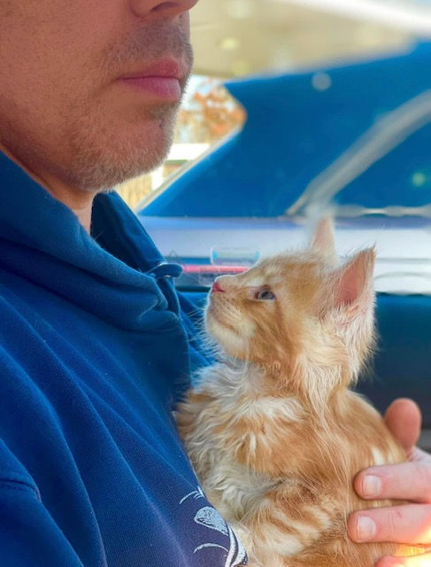 Before We Start Choosing Your Kitten…