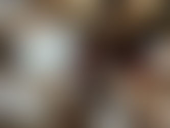 About feeding cats and kittens