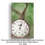 Thumbnail: Antique pocket watch with the word 'Zen' and a chain, against green background.