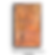 Text reads "NOW & FOREVER" on a textured orange background.