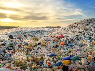 Greenwashing and Its Impact on Global Supply Chains