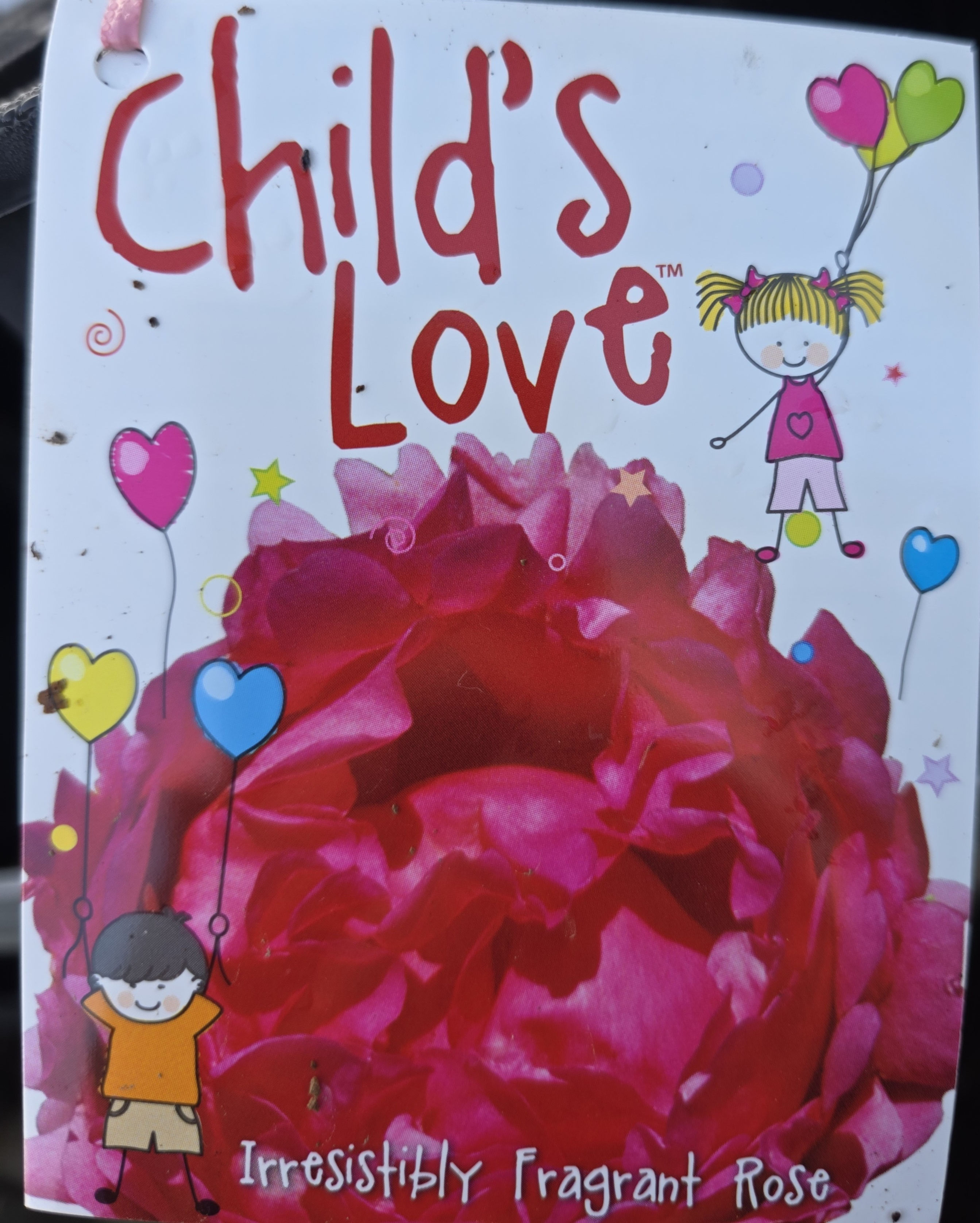 Rose Child's Love