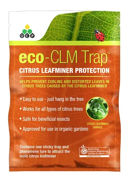 Citrus Leafminer Traps