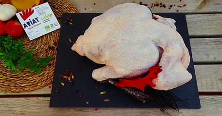 sencer AVIAT - ECO2 - comprimit.JPG