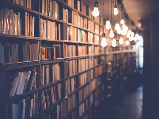 Exchanging international perspectives to enhance evidence for policymakers