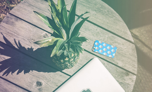 Devices and Pineapple