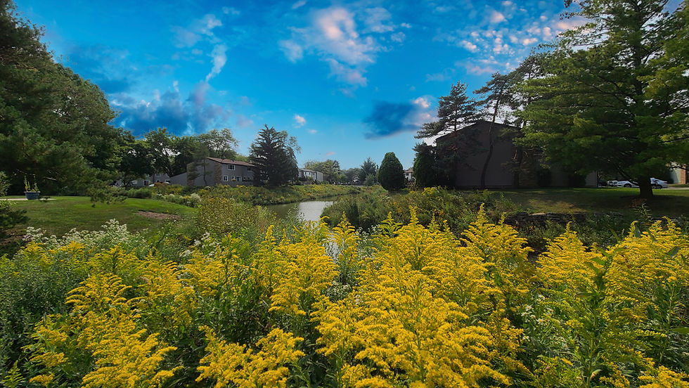 May 2026 Board Meeting