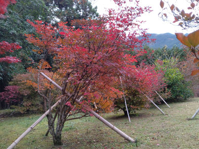 冷え込みました