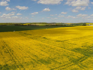 Vers une agriculture 3.0