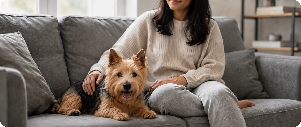 To To Portrait on the Sofa