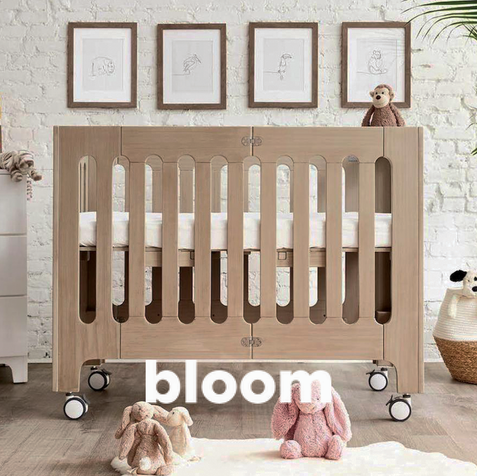 bloom.png