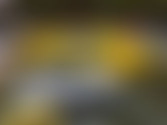 特殊ネジ