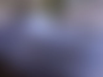 さくらポートレート