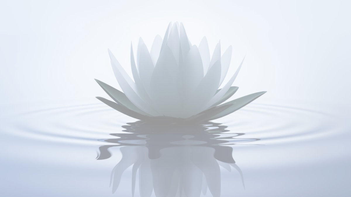 Jade Behavioral Consultants