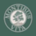 Montibus Vita Logo Design
