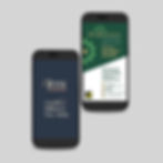 Social Media Advertising