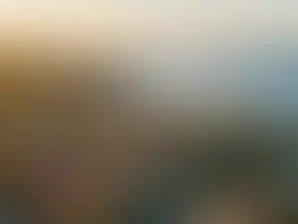 San Diego Short-Term Rentals: Everything You Need To Know