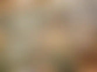 Big Bear Lake Rental Management: A Complete How-To Guide for Property Owners