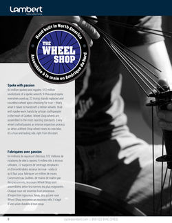 Retailer Flyer Advertising