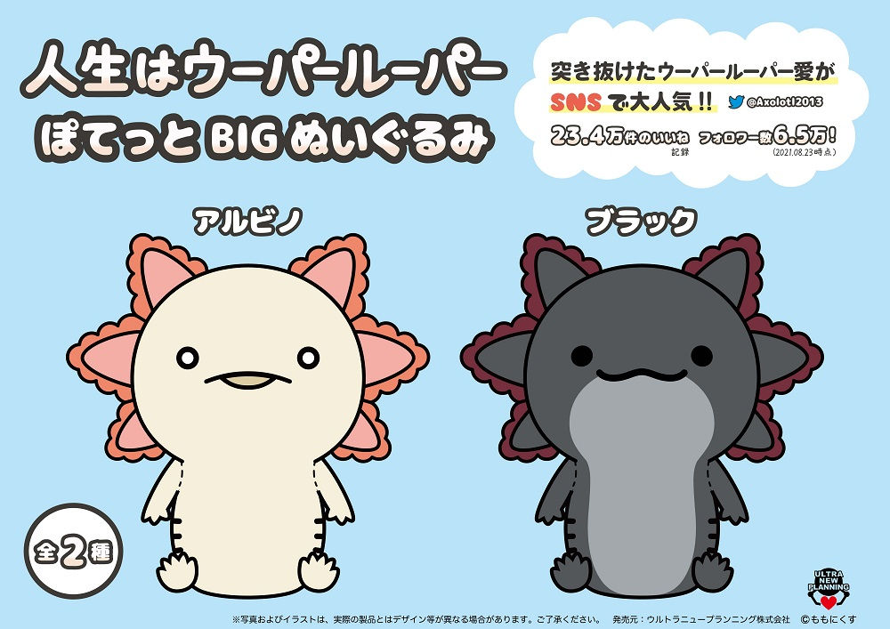 新品】 人生はウーパールーパー BIG ぬいぐるみ 3種セット