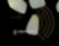 Crown PX Web.jpg