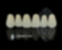 Crown NS Web.jpg