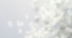Illustration ACRYLIC NS Teeth.jpg