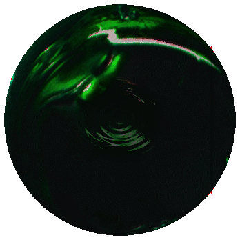 paint_1.gif