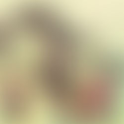 Sin or Savior Identity