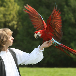 IVAN BRANFERE00001.JPG