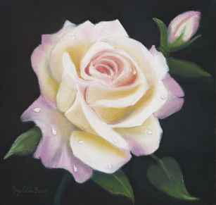 Mary Ellen Brown  Peace Rose  10x10inch.jpg