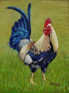 Dorothea Schulz  Mister Universe  22x28cm.jpg