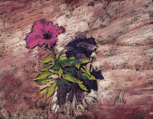 Mario Vucelic  Hanging on the wall  23x18cm.jpg