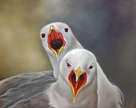 Eva Schläfli Bawlers 24x30cm.jpeg