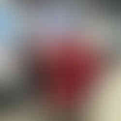 Colaboradores Exclusiva Colchões com seu brinde de Natal