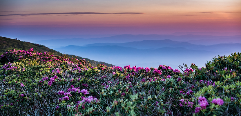 Insurance Agency Peterson Insurance Group Weaverville