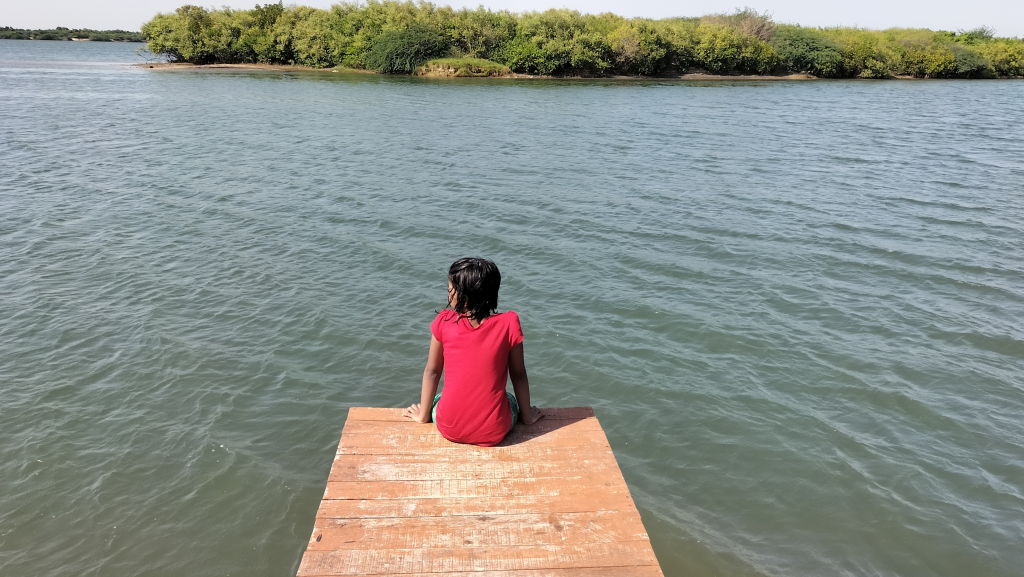 Kollidam Mini Expedition of Mangrovebay Ecocamp Standup Paddle Expeditions India