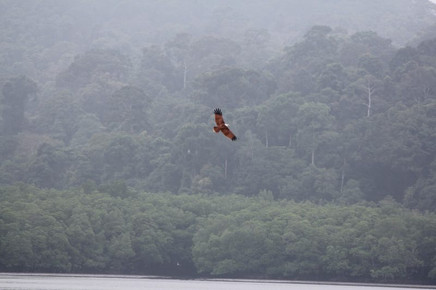 Standup Paddle Expeditions India