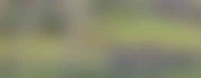 Stand-Up Paddle Expedition India SUP Norway