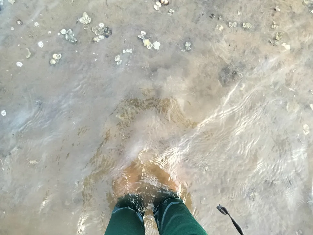 River Kollidam - Mangrovebay Ecocamp Standup Paddle Expeditions India