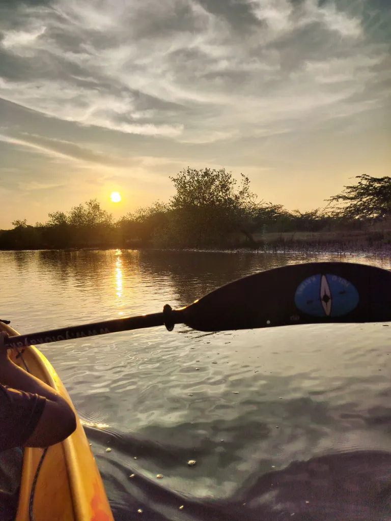 Kayaking Moment in river kollidam Standup Paddle Expeditions India