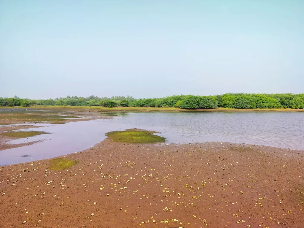 Sand bars - River Kollidam Standup Paddle Expeditions India